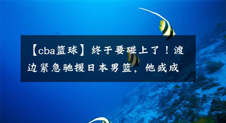 【cba篮球】终于要碰上了！渡边紧急驰援日本男篮，他或成中国男篮锋线试金石