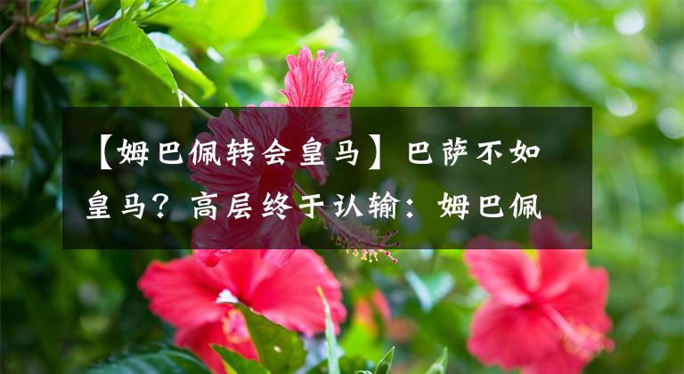 【姆巴佩转会皇马】巴萨不如皇马？高层终于认输：姆巴佩哈兰德不会来！科曼也不会下课，向老佛爷致敬