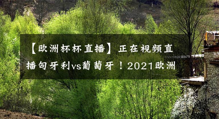 【欧洲杯杯直播】正在视频直播匈牙利vs葡萄牙！2021欧洲杯直播去哪儿看？