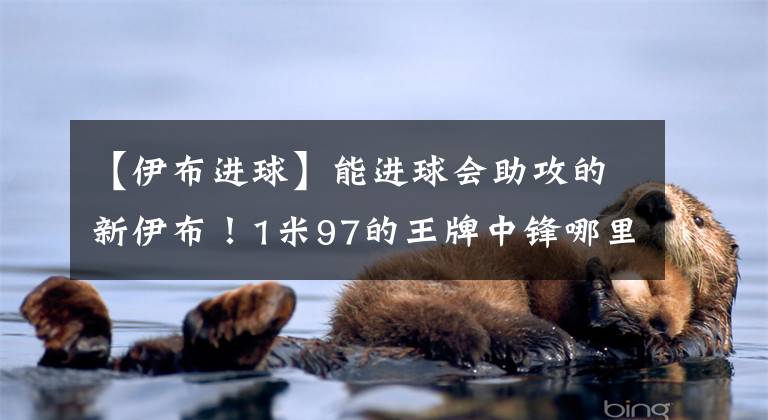 【伊布进球】能进球会助攻的新伊布！1米97的王牌中锋哪里找？法甲妖星等伯乐