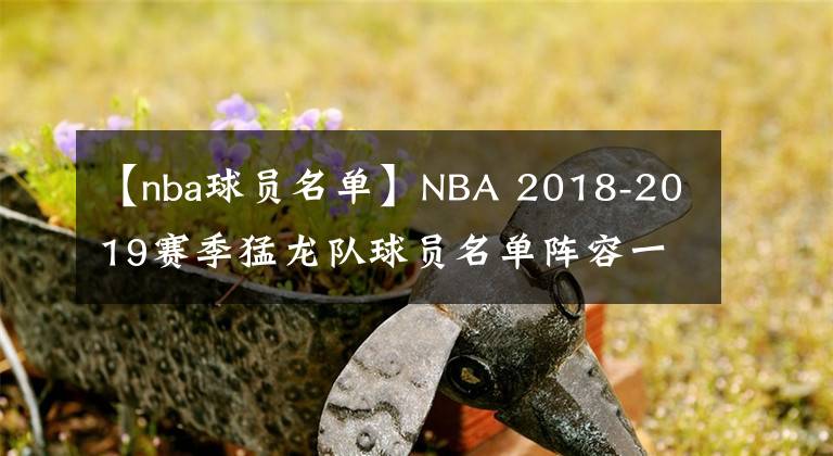 【nba球员名单】NBA 2018-2019赛季猛龙队球员名单阵容一览