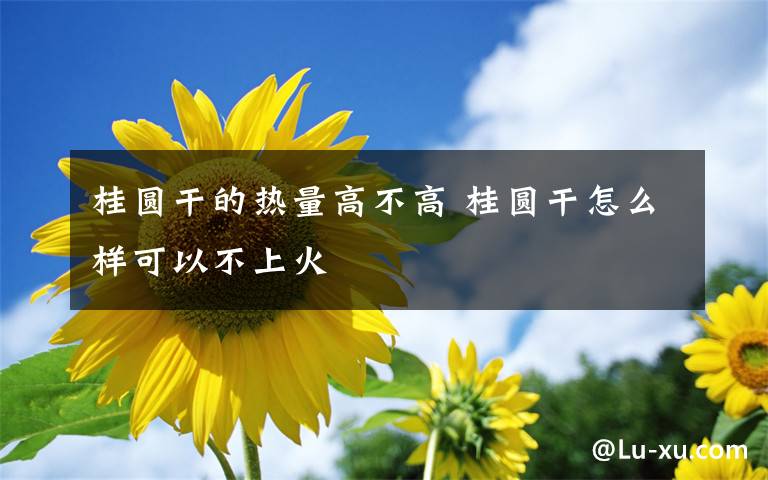 桂圆干的热量高不高 桂圆干怎么样可以不上火