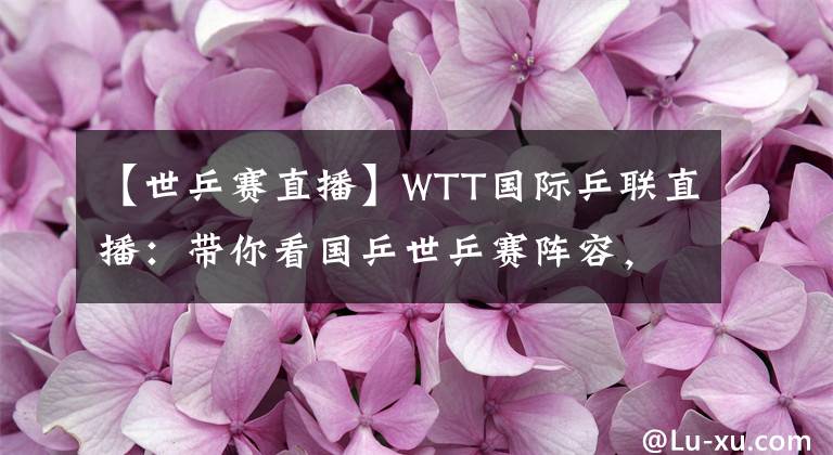 【世乒赛直播】WTT国际乒联直播：带你看国乒世乒赛阵容，中国国乒制胜密码