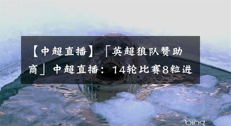 【中超直播】「英超狼队赞助商」中超直播：14轮比赛8粒进球！张玉宁远不如他