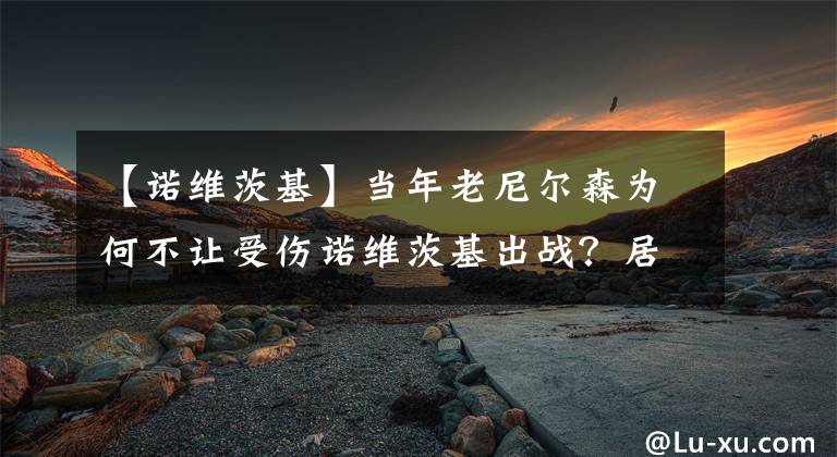 【诺维茨基】当年老尼尔森为何不让受伤诺维茨基出战？居然用辞职威胁库班
