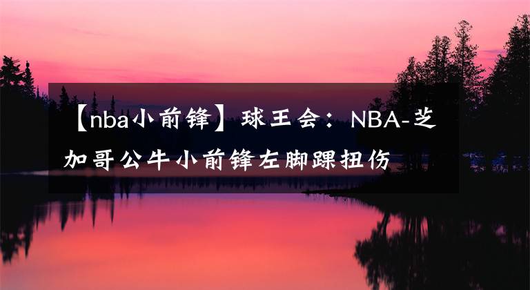 【nba小前锋】球王会：NBA-芝加哥公牛小前锋左脚踝扭伤