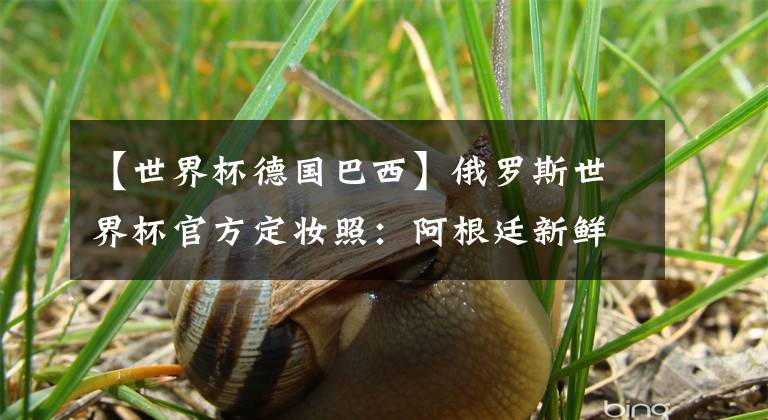 【世界杯德国巴西】俄罗斯世界杯官方定妆照：阿根廷新鲜出炉 巴西德国待更新！