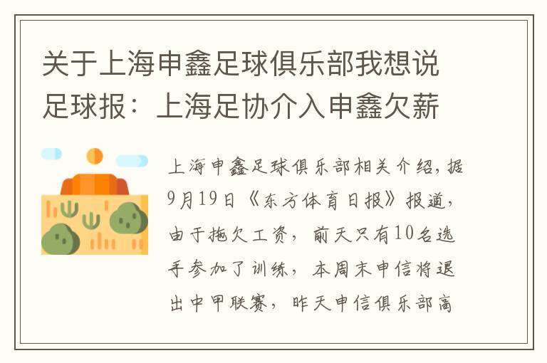 关于上海申鑫足球俱乐部我想说足球报：上海足协介入申鑫欠薪罢赛，积极寻求解决办法