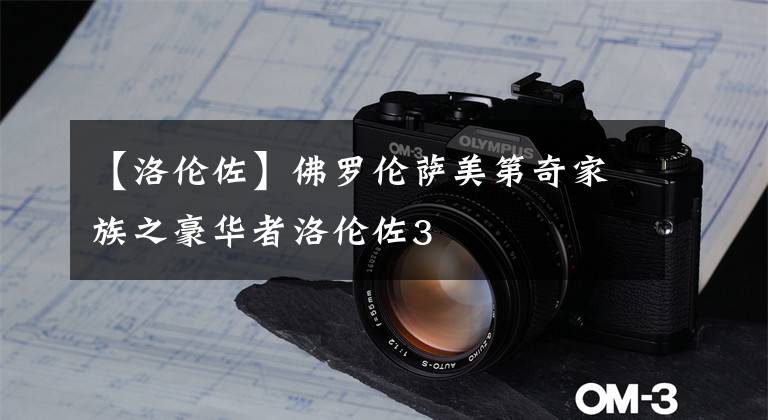 【洛伦佐】佛罗伦萨美第奇家族之豪华者洛伦佐3