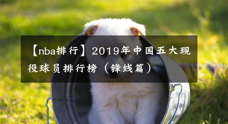 【nba排行】2019年中国五大现役球员排行榜（锋线篇）
