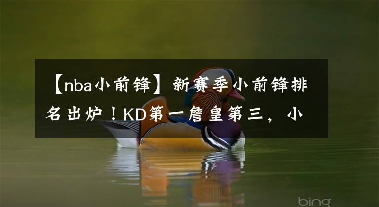 【nba小前锋】新赛季小前锋排名出炉！KD第一詹皇第三，小卡因伤未能上榜