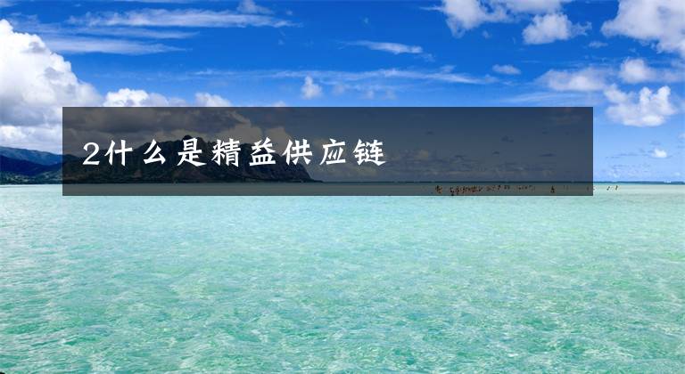 2什么是精益供应链
