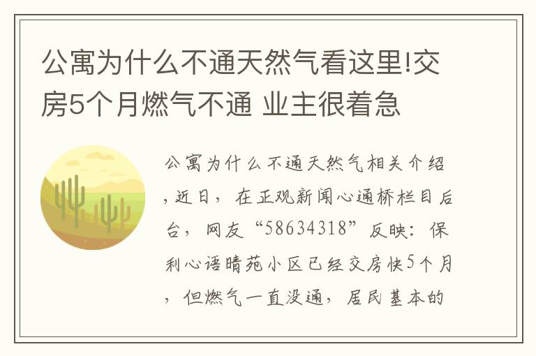 公寓为什么不通天然气看这里!交房5个月燃气不通 业主很着急