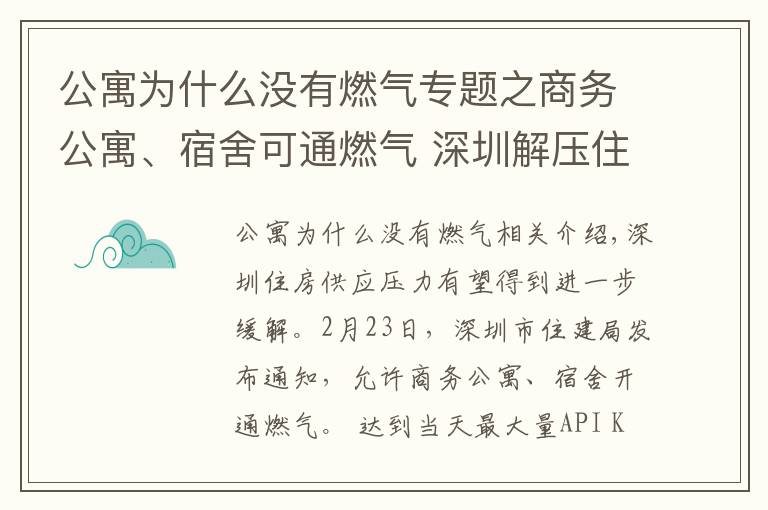 公寓为什么没有燃气专题之商务公寓、宿舍可通燃气 深圳解压住房矛盾出实招