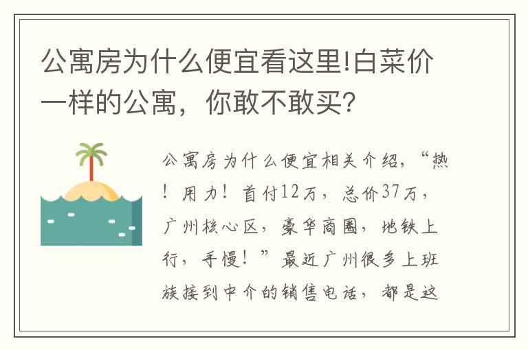 公寓房为什么便宜看这里!白菜价一样的公寓，你敢不敢买？