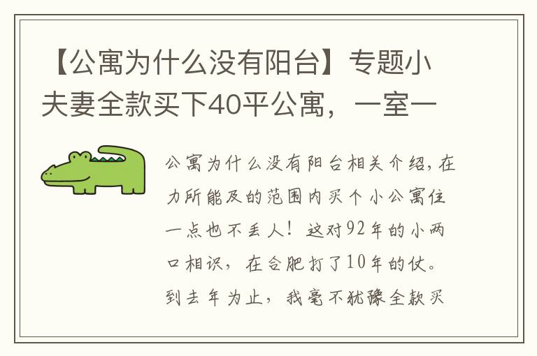 【公寓为什么没有阳台】专题小夫妻全款买下40平公寓，一室一厅却心满意足，没有阳台小而温馨