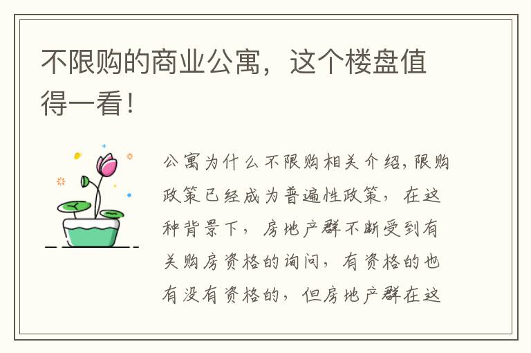 不限购的商业公寓，这个楼盘值得一看！