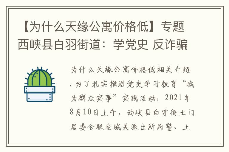 【为什么天缘公寓价格低】专题西峡县白羽街道：学党史 反诈骗 保平安