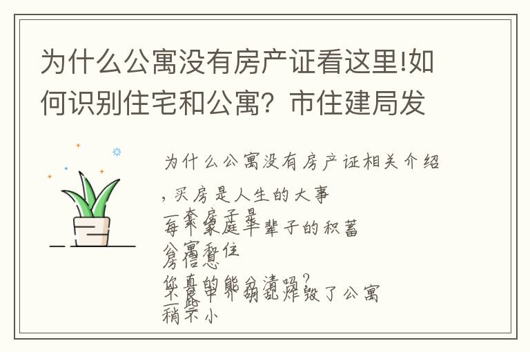 为什么公寓没有房产证看这里!如何识别住宅和公寓？市住建局发布温馨提示！