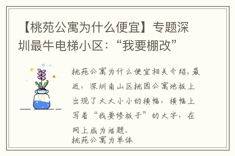 【桃苑公寓为什么便宜】专题深圳最牛电梯小区：“我要棚改”，是真实诉求还是投资炒作？