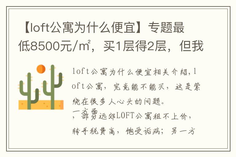 【loft公寓为什么便宜】专题最低8500元/㎡，买1层得2层，但我劝你谨慎