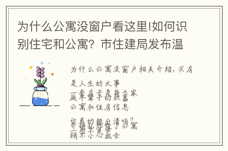 为什么公寓没窗户看这里!如何识别住宅和公寓？市住建局发布温馨提示！