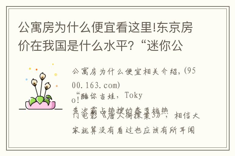 公寓房为什么便宜看这里!东京房价在我国是什么水平？“迷你公寓”火遍东京，背后暗藏玄机