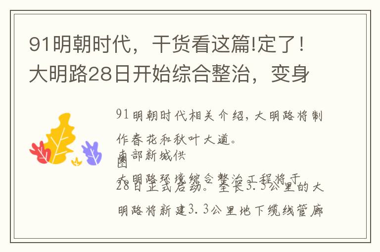 91明朝时代，干货看这篇!定了！大明路28日开始综合整治，变身特色街区