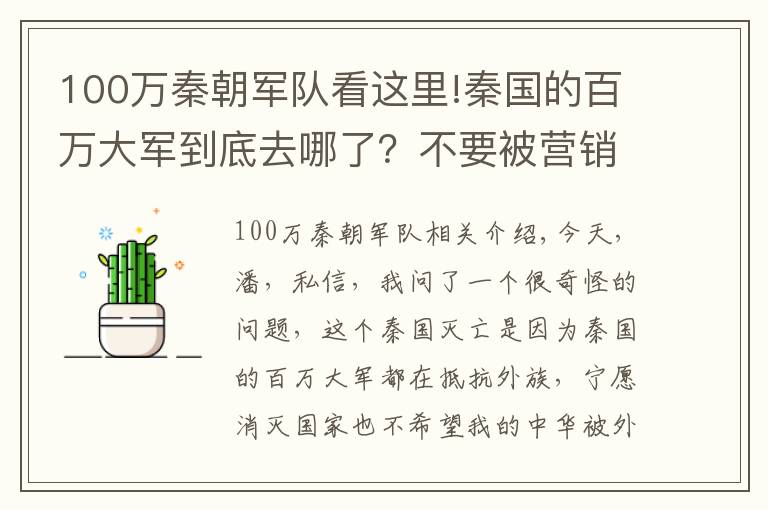 100万秦朝军队看这里!秦国的百万大军到底去哪了？不要被营销号忽悠了