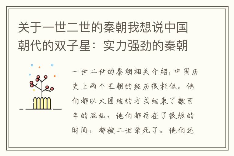 关于一世二世的秦朝我想说中国朝代的双子星：实力强劲的秦朝、隋朝，为何都二世而亡？