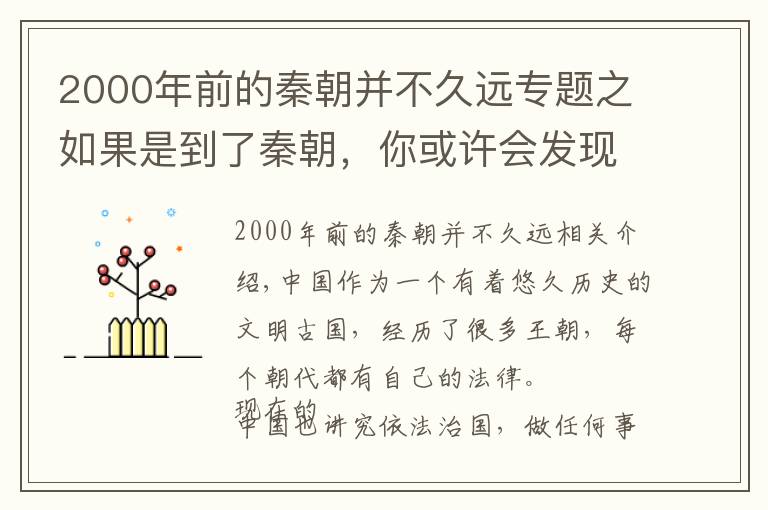 2000年前的秦朝并不久远专题之如果是到了秦朝，你或许会发现，长得矮可能还真不算一件坏事情
