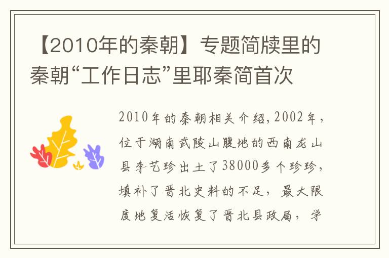 【2010年的秦朝】专题简牍里的秦朝“工作日志”里耶秦简首次国博呈现