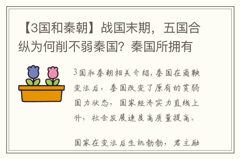 【3国和秦朝】战国末期，五国合纵为何削不弱秦国？秦国所拥有的，是六国所缺的