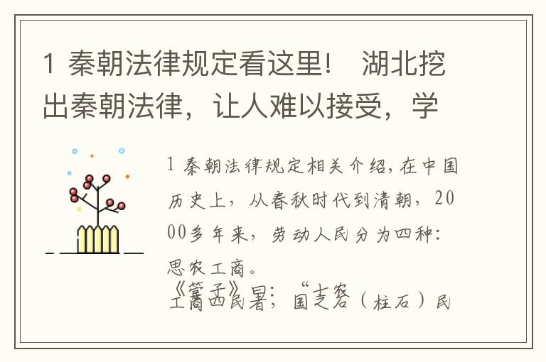 1 秦朝法律规定看这里!​湖北挖出秦朝法律，让人难以接受，学者：难怪古代商人地位低下