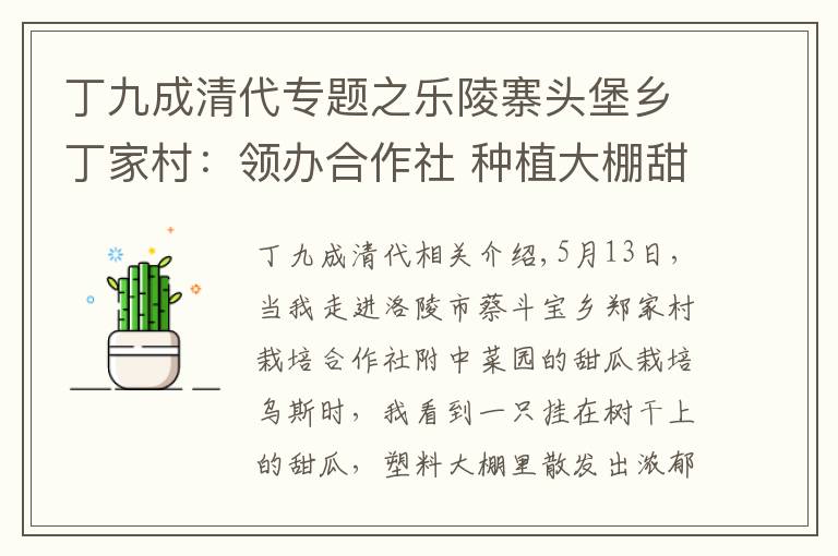 丁九成清代专题之乐陵寨头堡乡丁家村：领办合作社 种植大棚甜瓜强村富民
