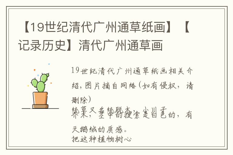 【19世纪清代广州通草纸画】【记录历史】清代广州通草画