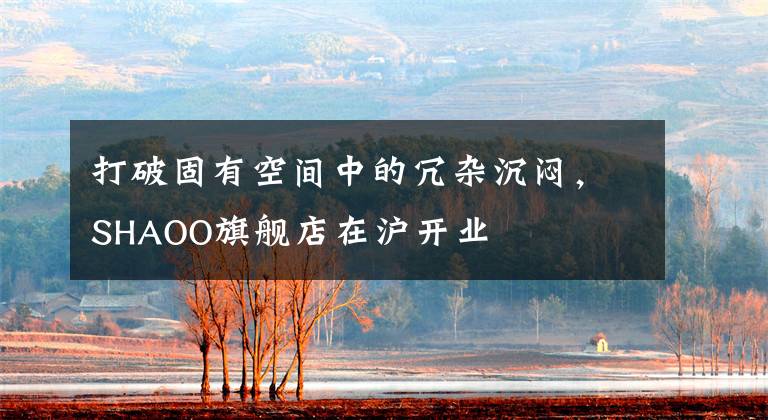 打破固有空间中的冗杂沉闷，SHAOO旗舰店在沪开业