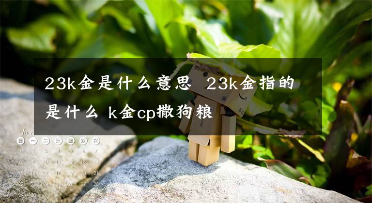 23k金是什么意思 23k金指的是什么 k金cp撒狗粮