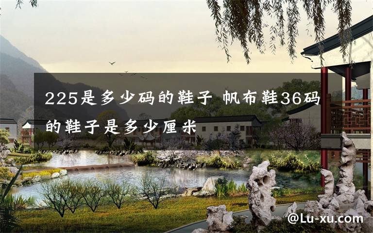 225是多少码的鞋子 帆布鞋36码的鞋子是多少厘米