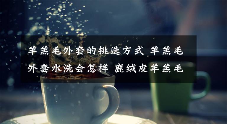 羊羔毛外套的挑选方式 羊羔毛外套水洗会怎样 鹿绒皮羊羔毛可以水洗不