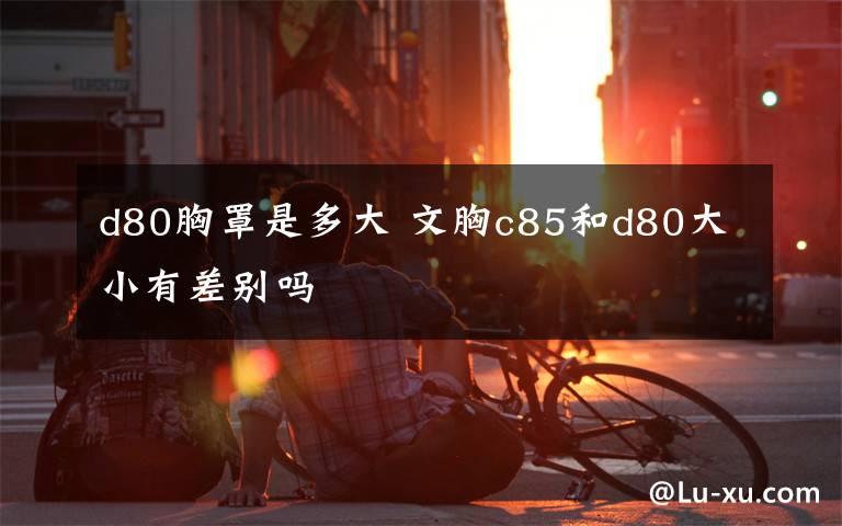 d80胸罩是多大 文胸c85和d80大小有差别吗