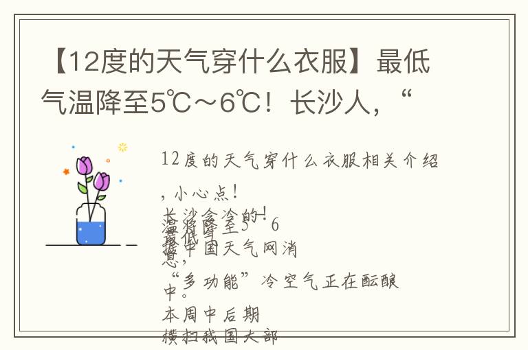 【12度的天气穿什么衣服】最低气温降至5℃～6℃！长沙人，“凶猛”寒潮来袭，多穿点，别冻着