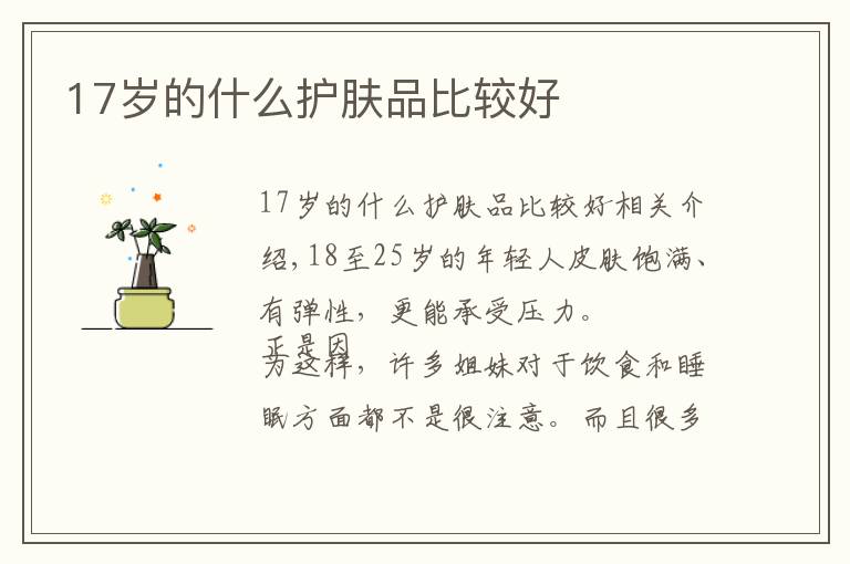 17岁的什么护肤品比较好