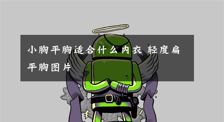 小胸平胸适合什么内衣 轻度扁平胸图片