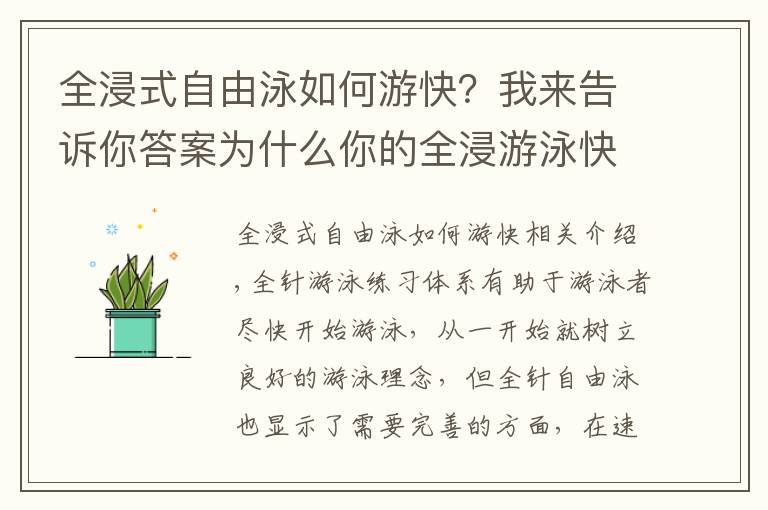 全浸式自由泳如何游快？我来告诉你答案为什么你的全浸游泳快不起来？专注度需要及时转移