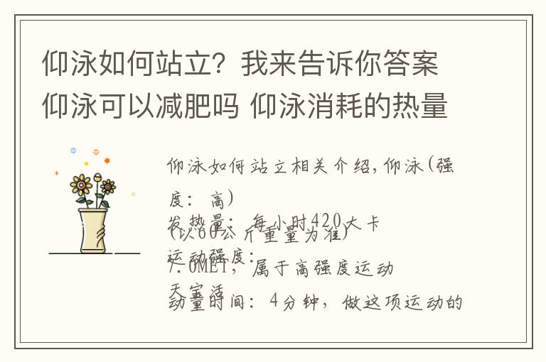 仰泳如何站立？我来告诉你答案仰泳可以减肥吗 仰泳消耗的热量