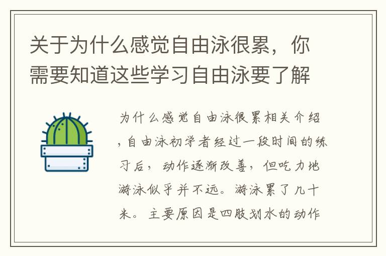 关于为什么感觉自由泳很累，你需要知道这些学习自由泳要了解的练习体会之九