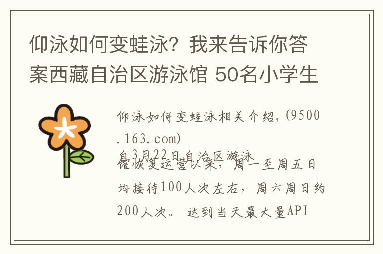仰泳如何变蛙泳？我来告诉你答案西藏自治区游泳馆 50名小学生免费学会了蛙泳仰泳