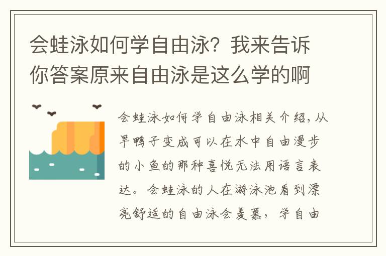 会蛙泳如何学自由泳？我来告诉你答案原来自由泳是这么学的啊