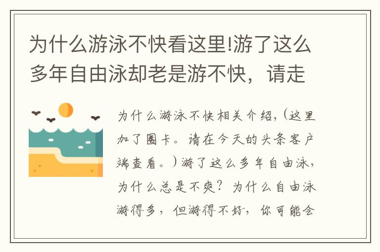 为什么游泳不快看这里!游了这么多年自由泳却老是游不快，请走出这些误区